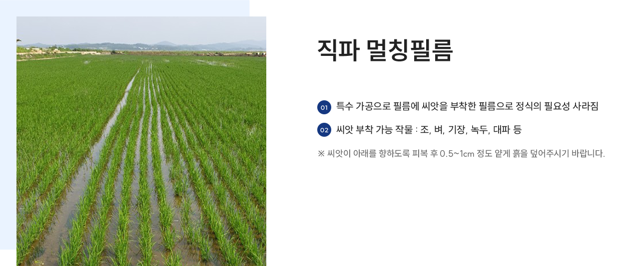 직파 멀칭필름