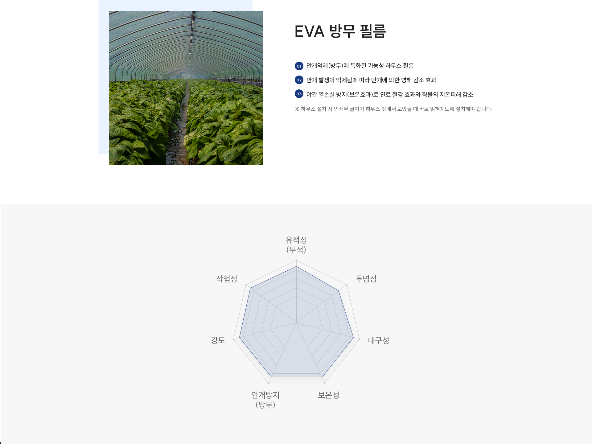 EVA 방무 필름