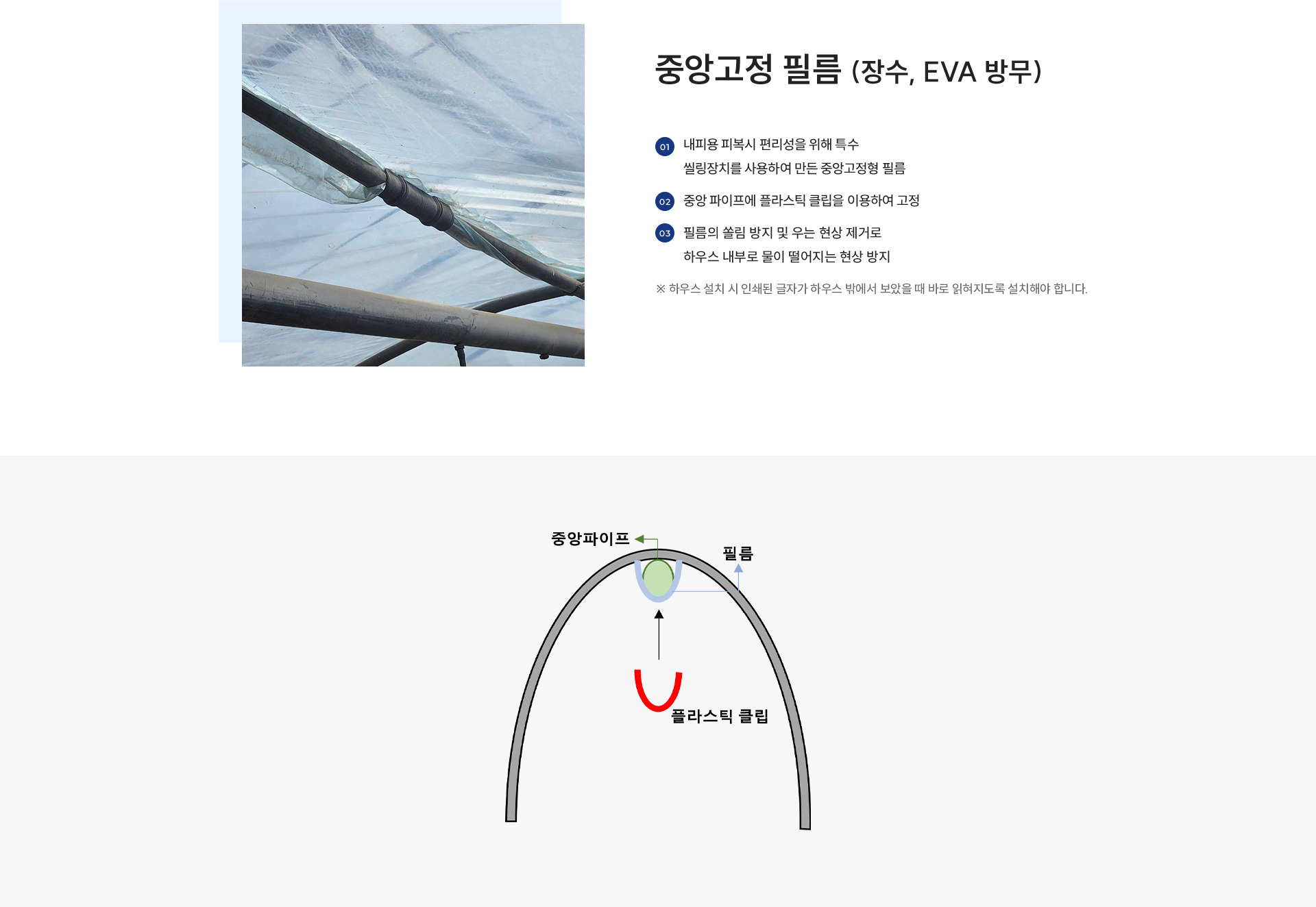 중앙고정 필름