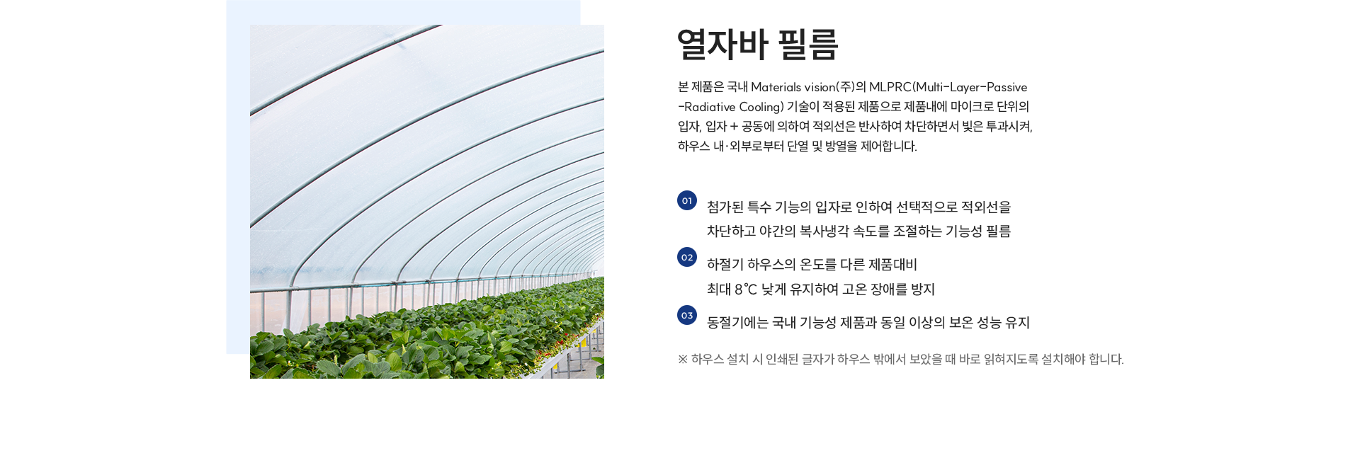 열자바 필름