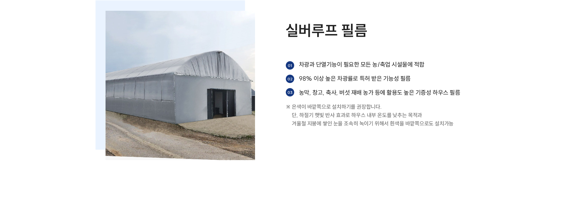 실버루프 필름