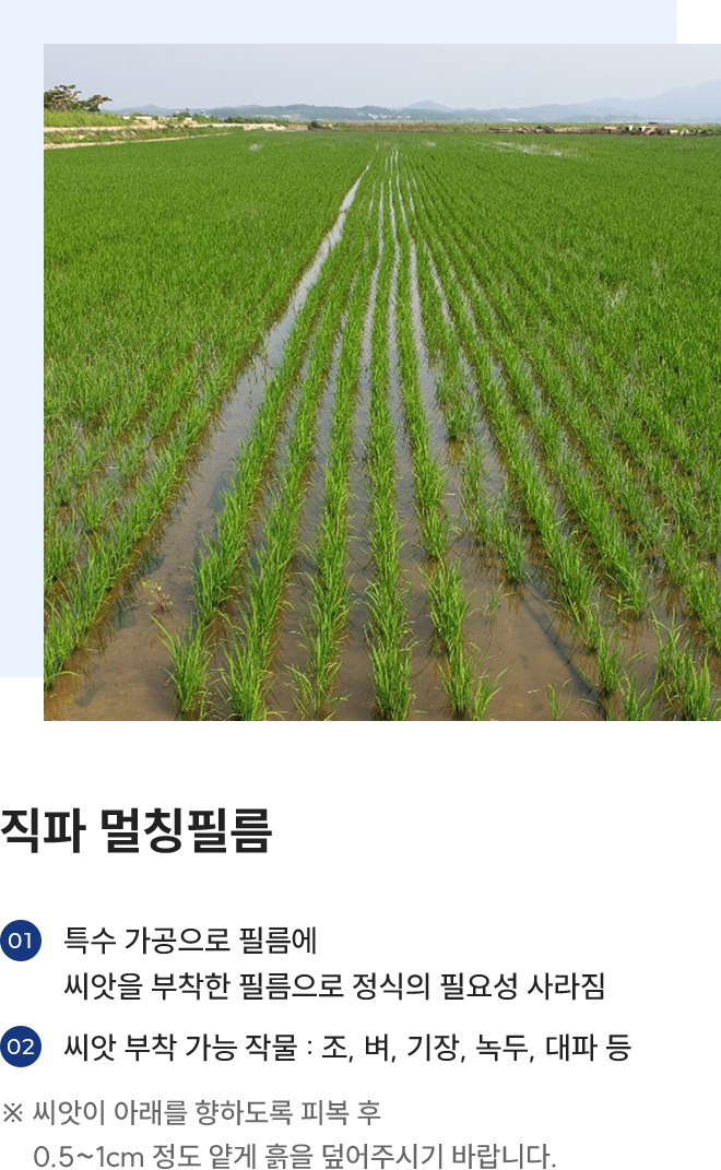 직파 멀칭필름