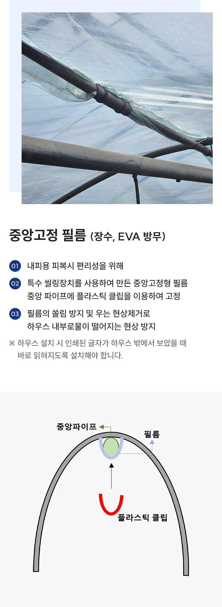 중앙고정 필름